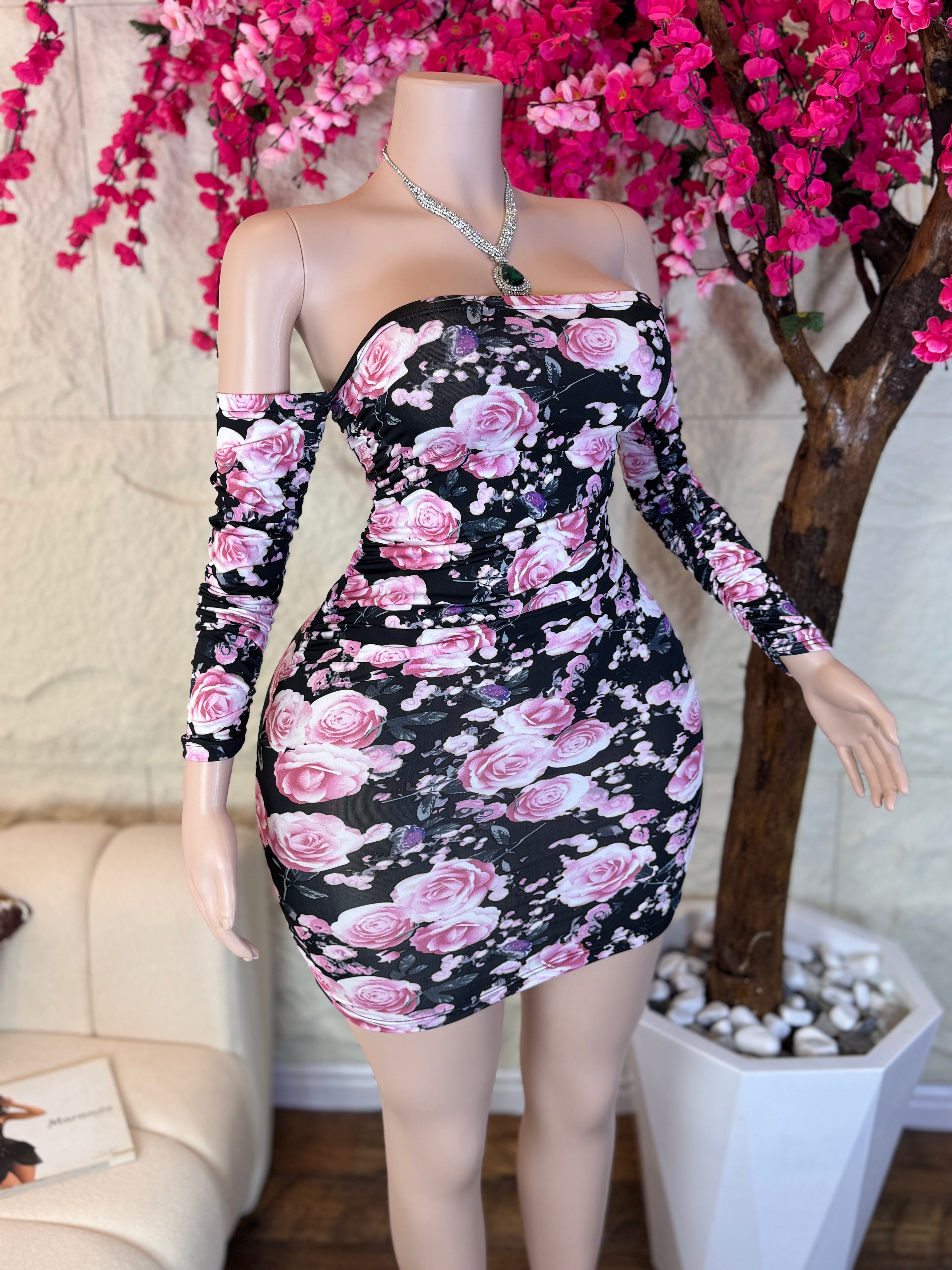 Robe Numi + بروتال شفاف + ليبا صواري مجانًا